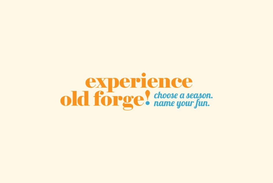 Give the Gift of Experience this Fall