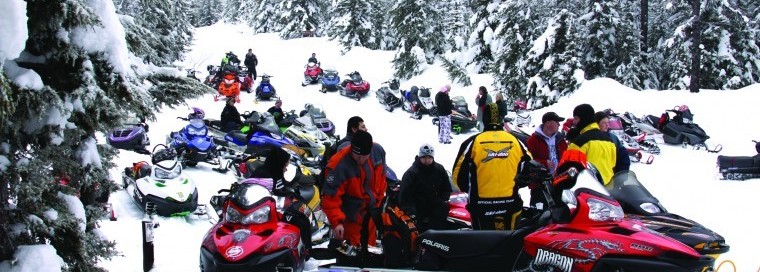 A big group of snowmobilers standing around their snowmobiles in a snowy field with pine trees covered inn snow on the outskirts