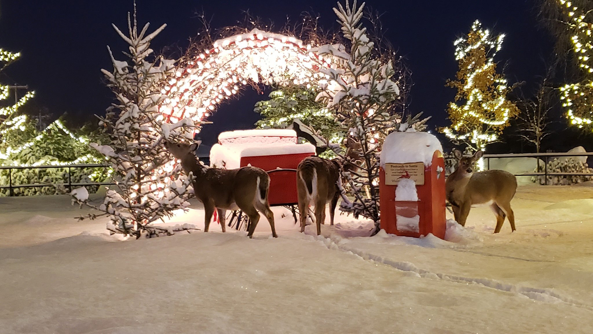 Adirondack Christmas on Main Street