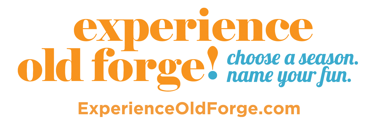 Experience Old Forge logo choose a season name your fun experience old forge dot com