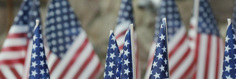 a bunch of small American flags standing